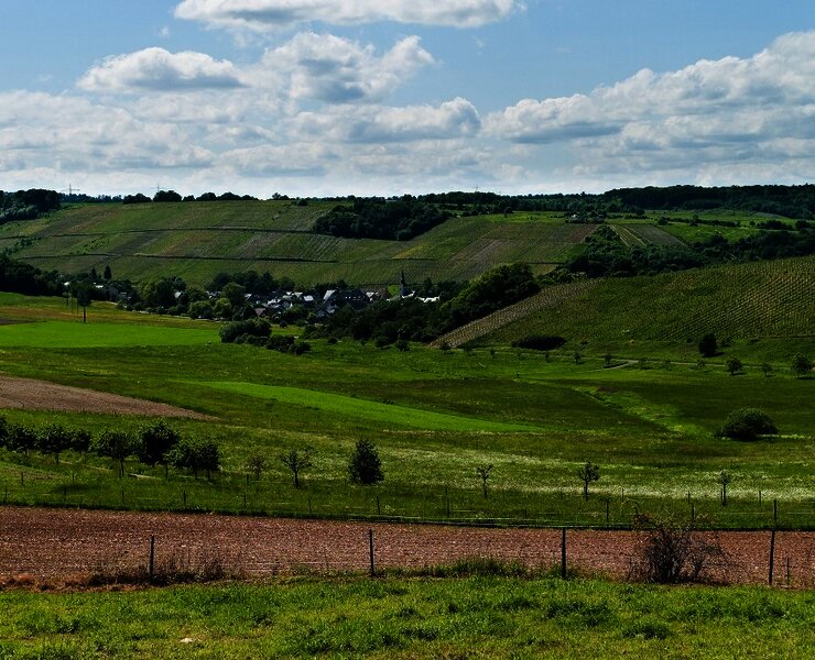 Burgen an der Mittelmosel