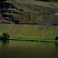 Mosel