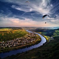 Landschaft Zeltingen-Rachtig