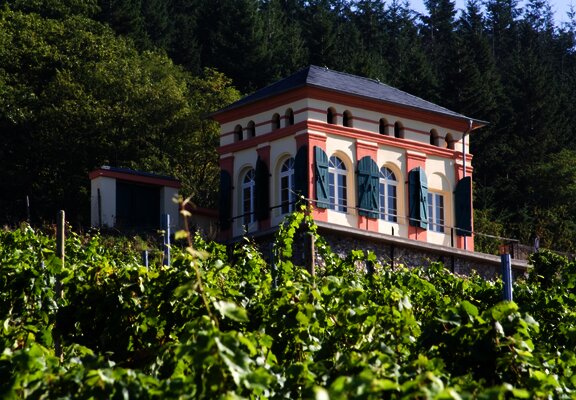 Elisenhäuschen in den Weinbergen