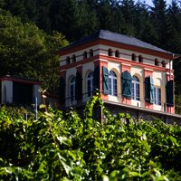 Elisenhäuschen in den Weinbergen