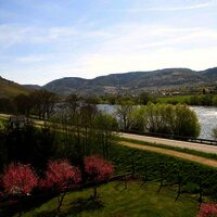 Ausblick Süßenberg