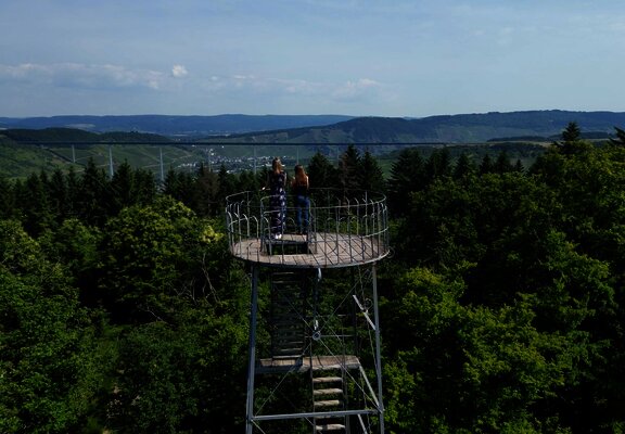 Ausblick vom Grainskopf nach Zeltingen