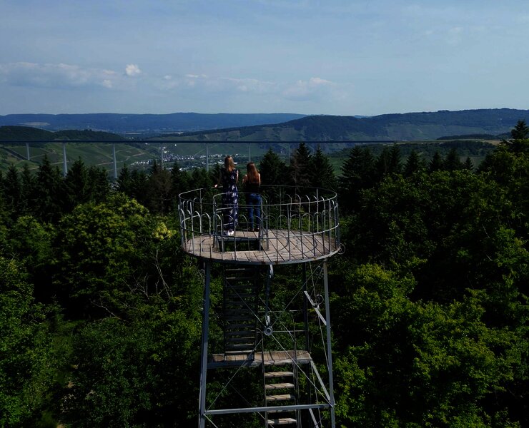 Ausblick vom Grainskopf nach Zeltingen