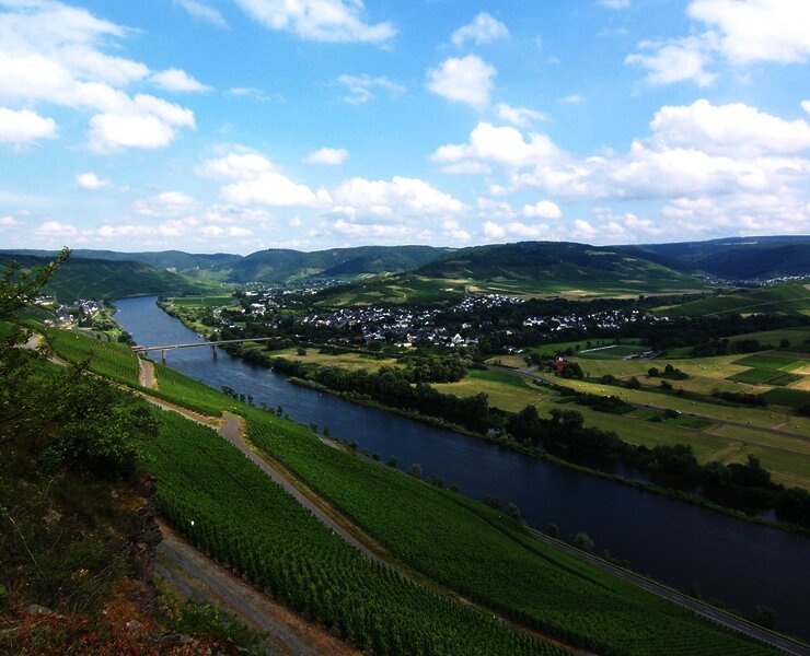 'Brauneberger Juffer'