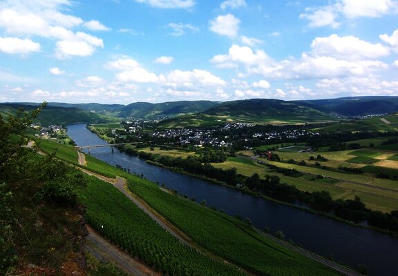 'Brauneberger Juffer'