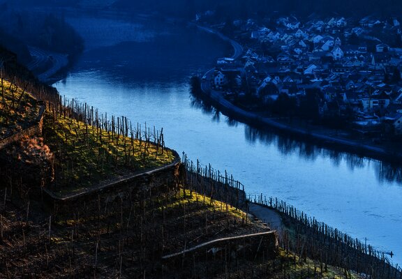 Moselblick bei Winningen