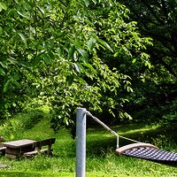 428DA436-0CF1-40D6-BBA9-E7814BDC5552_1_201_a