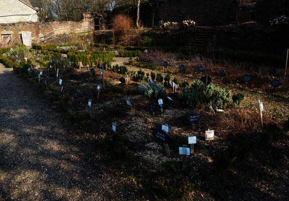 Abtsgarten Klausen mit Kräuterbeet