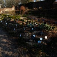 Abtsgarten Klausen mit Kräuterbeet
