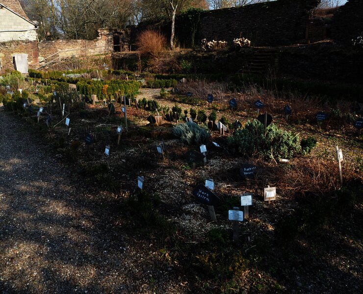 Abtsgarten Klausen mit Kräuterbeet