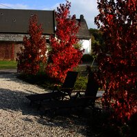 Blick von der Terasse