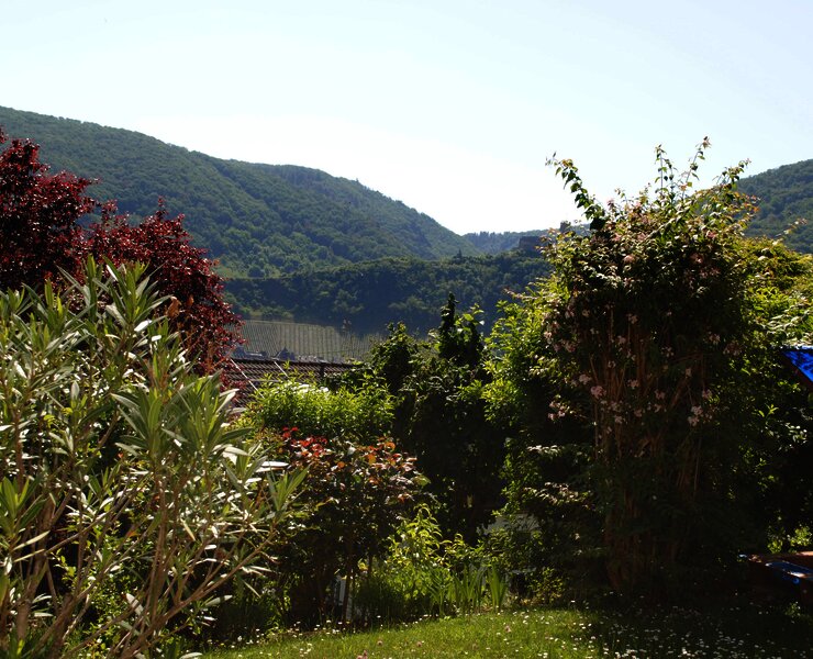 Gartenblick von der Terrasse aus