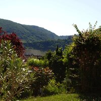 Gartenblick von der Terrasse aus