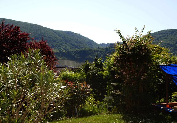 Gartenblick von der Terrasse aus