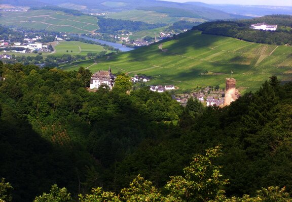 Bresgenruh - Aussichtspunkt