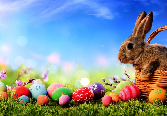 Beispielbild Ostern