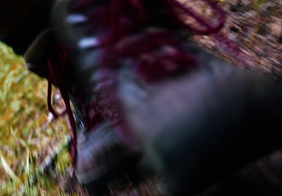 Wandern im Moselhunsrück in Kleinich