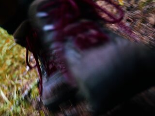 Wandern im Moselhunsrück in Kleinich