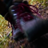 Wandern im Moselhunsrück in Kleinich