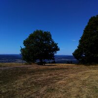 Eifelblick am Panorama Wanderweg Piesport