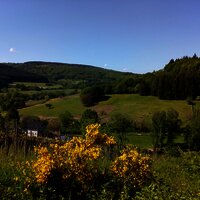 Blick auf den Reiterhof