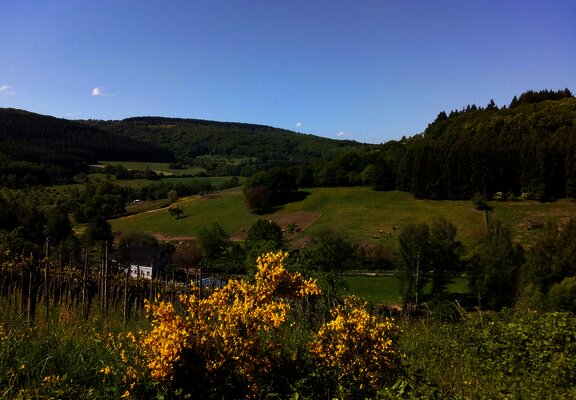 Blick auf den Reiterhof