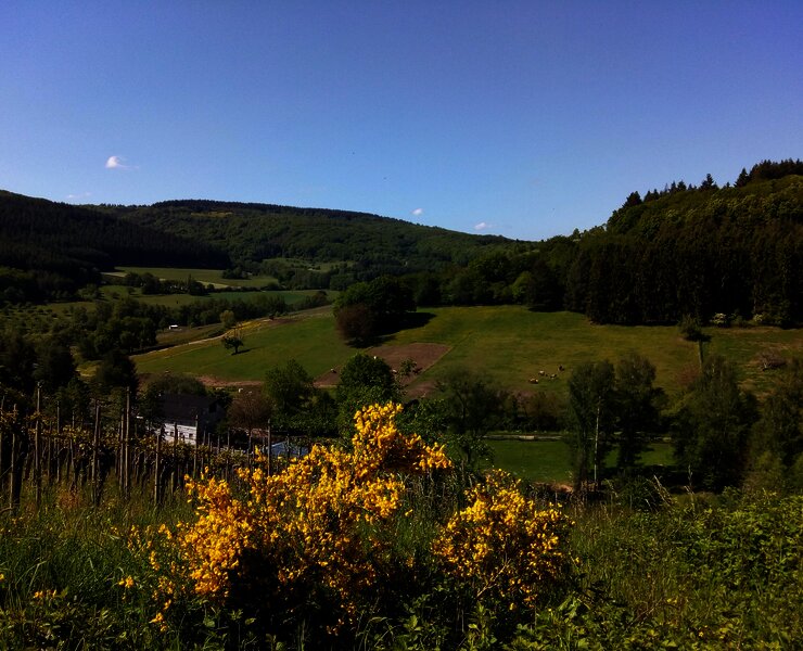 Blick auf den Reiterhof