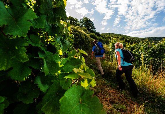 Aufstieg zur Burg Thurant