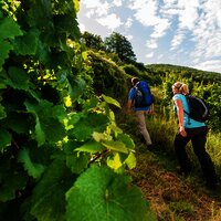 Aufstieg zur Burg Thurant