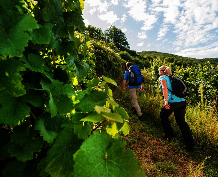 Aufstieg zur Burg Thurant
