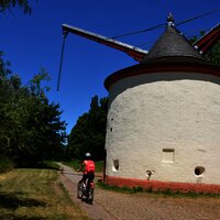 Kranen am Mosel-Radweg bei Trier