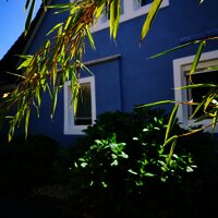 Das blaue Haus