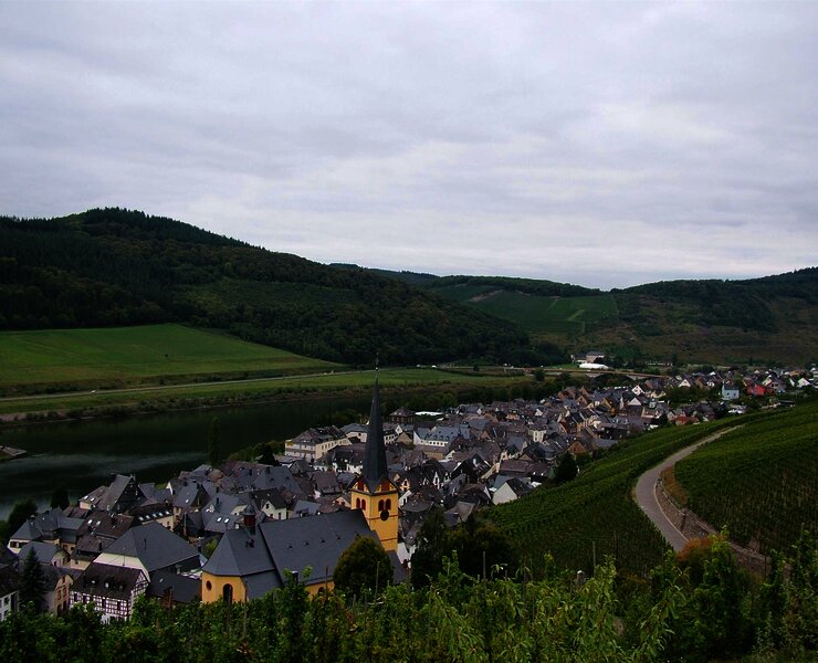 Zeltingen-Rachtig im Ferienland