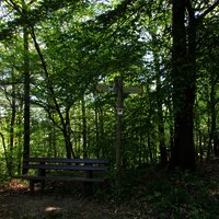 Rast inmitten der Natur