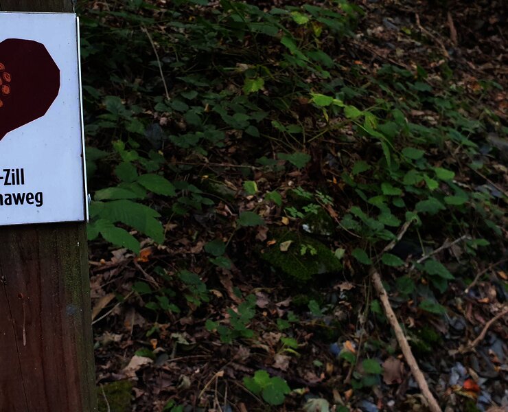 Gleichnamiger Wanderweg - für Geübte ...