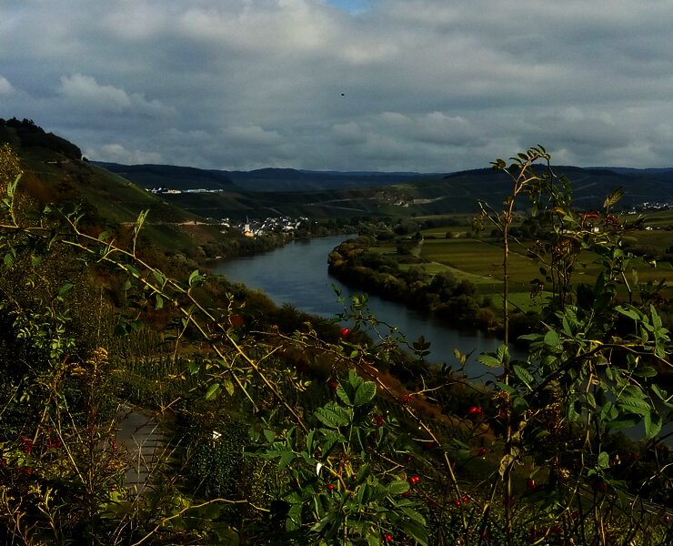 Moselblick vom Wanderweg "Kestener Schweiz"
