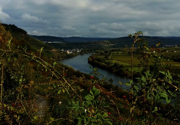 Moselblick vom Wanderweg "Kestener Schweiz"