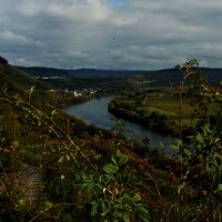 Moselblick vom Wanderweg "Kestener Schweiz"