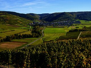 Veldenz an der Mosel