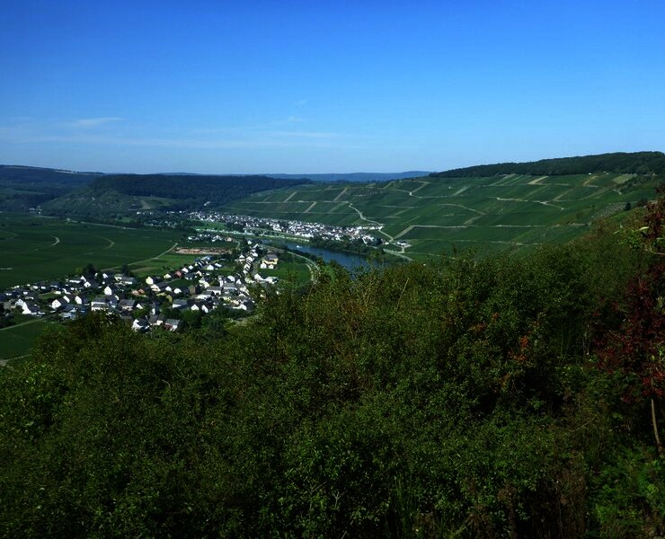 Aussicht vom "Hinkelstein" auf die Klüsserather Weinberge