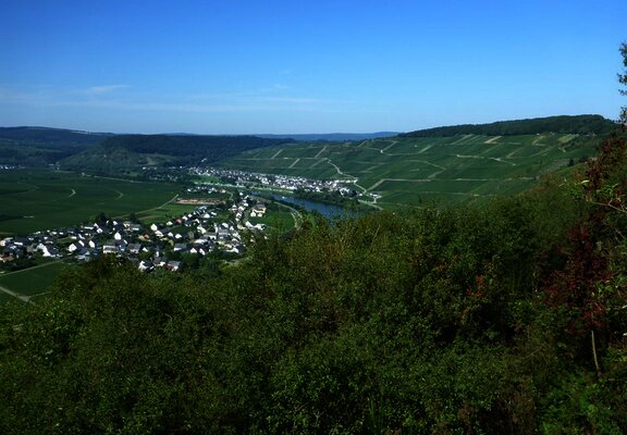 Aussicht vom "Hinkelstein" auf die Klüsserather Weinberge