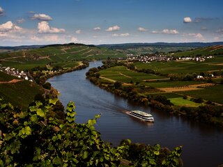 Mosel mit Kreuzfahrtschiff und Blick auf Kesten