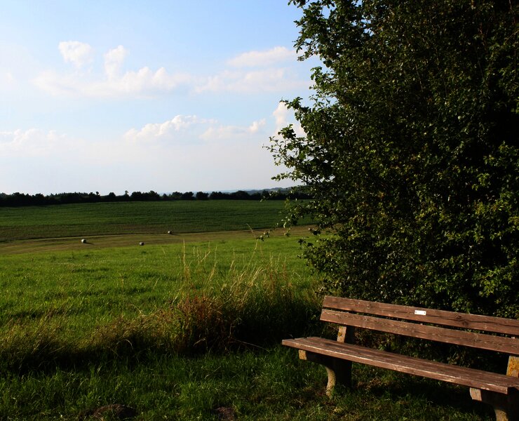 Bank mit Aussicht: Wandern an der Mosel