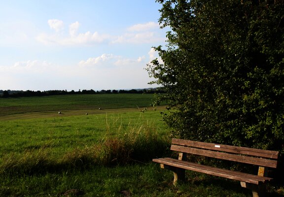 Bank mit Aussicht: Wandern an der Mosel