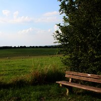 Bank mit Aussicht: Wandern an der Mosel