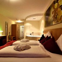 Doppelzimmer Wellness, mit Whirlpool und Balkon