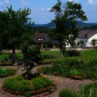 Blick im Garten