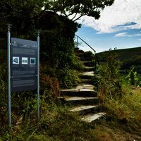 Aufstieg zum Moselpanorama in Minheim