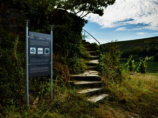 Aufstieg zum Moselpanorama in Minheim